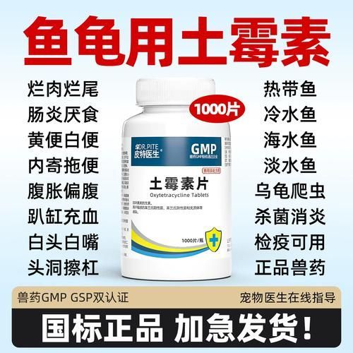 有哪些藥物可以治療李亞龍魚病