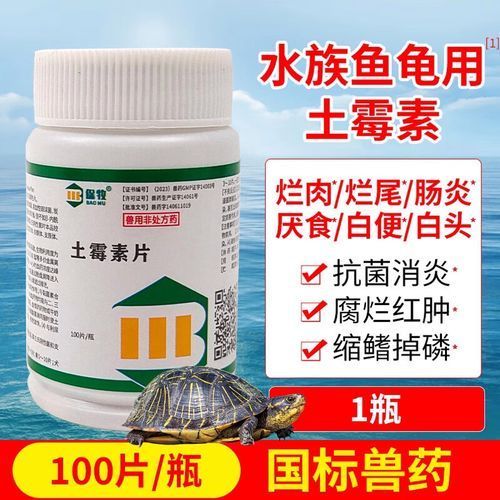 有哪些藥物可以治療李亞龍魚病