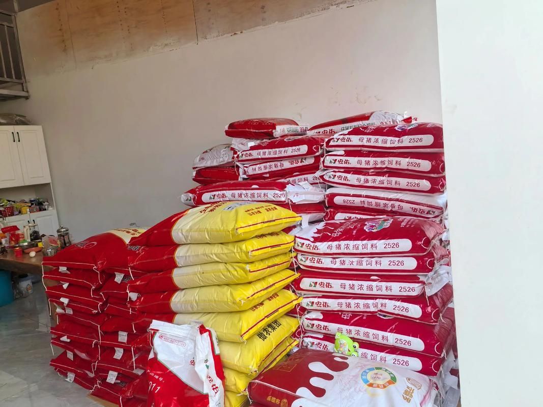 哪里可以購買到鎮(zhèn)龍魚餌料？，哪里可以購買到正品鎮(zhèn)龍魚餌料？