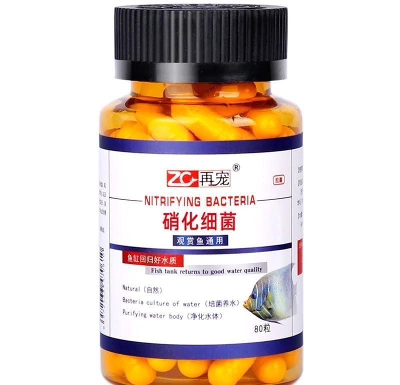 如何正確使用魚缸益生菌？，如何正確使用魚缸益生菌