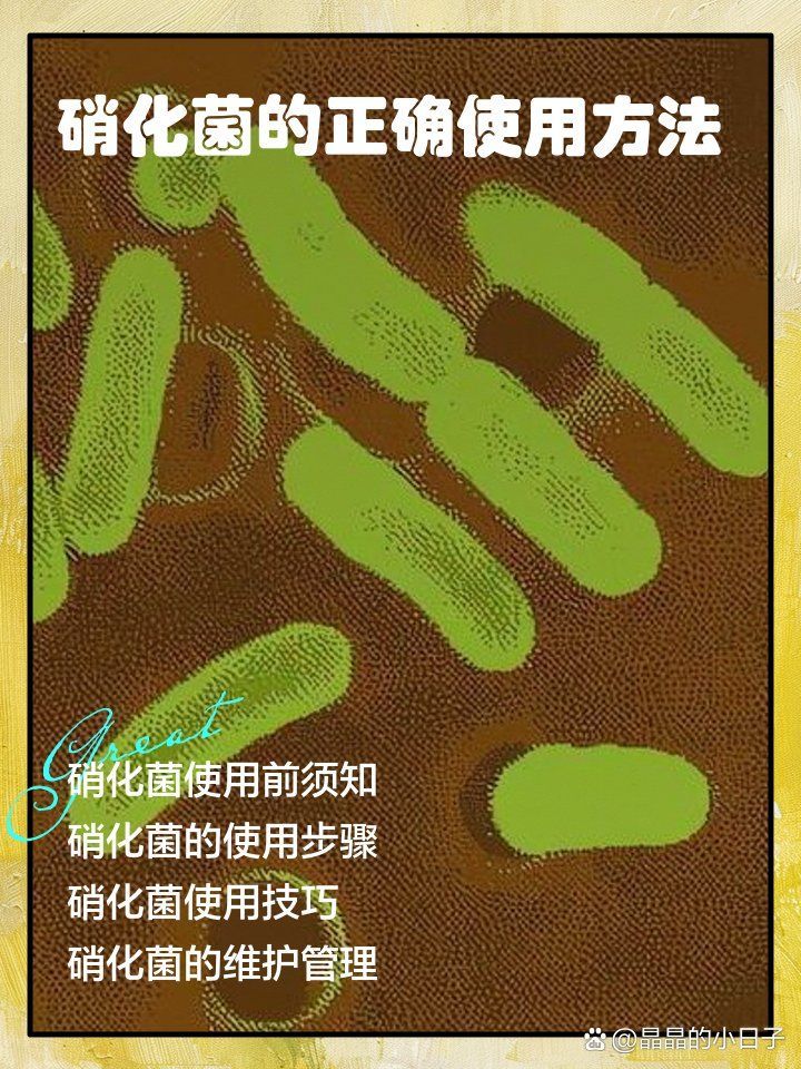如何正確使用魚缸益生菌？，如何正確使用魚缸益生菌