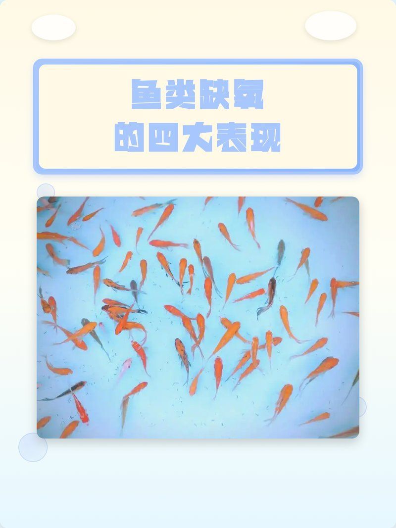 如何判斷魚是否缺氧浮頭，判斷魚是否缺氧浮頭是水產養殖管理中的一項重要工作