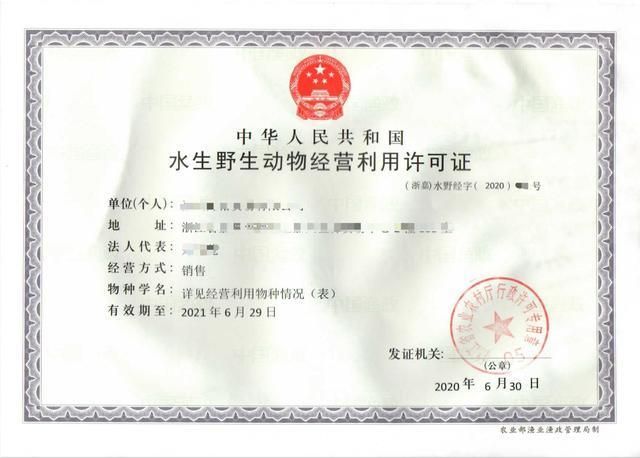 如何判斷龍魚是否來源正規？，如何判定龍魚是否來源正規