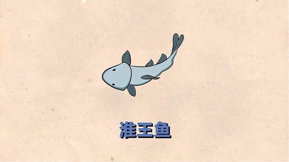 淮上龍魚有哪些獨特的品種？