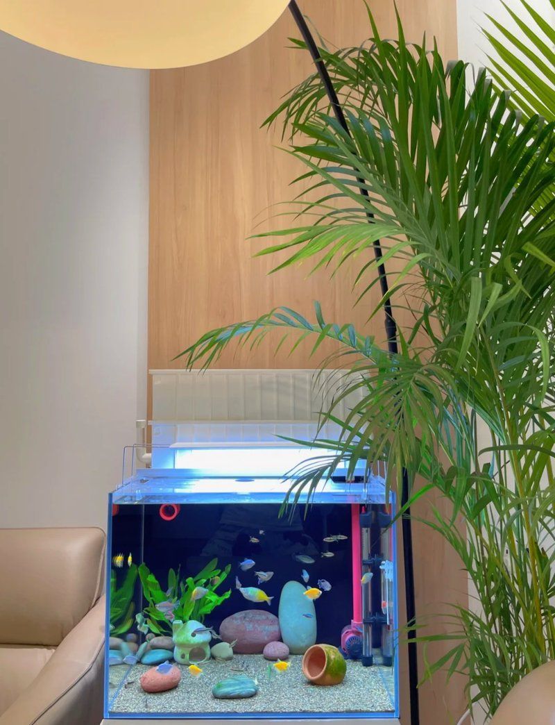 博特水族有哪些型號？