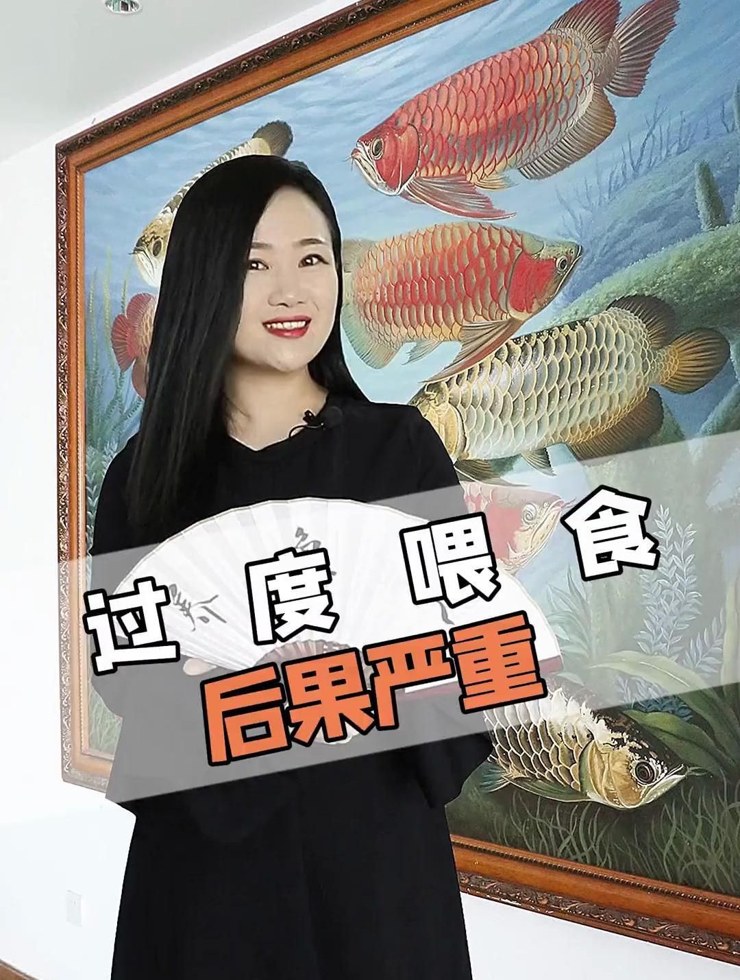 龍魚吃多了會怎樣？，新手養龍魚千萬別喂太飽4大弊端得知道龍魚吃多了會怎樣