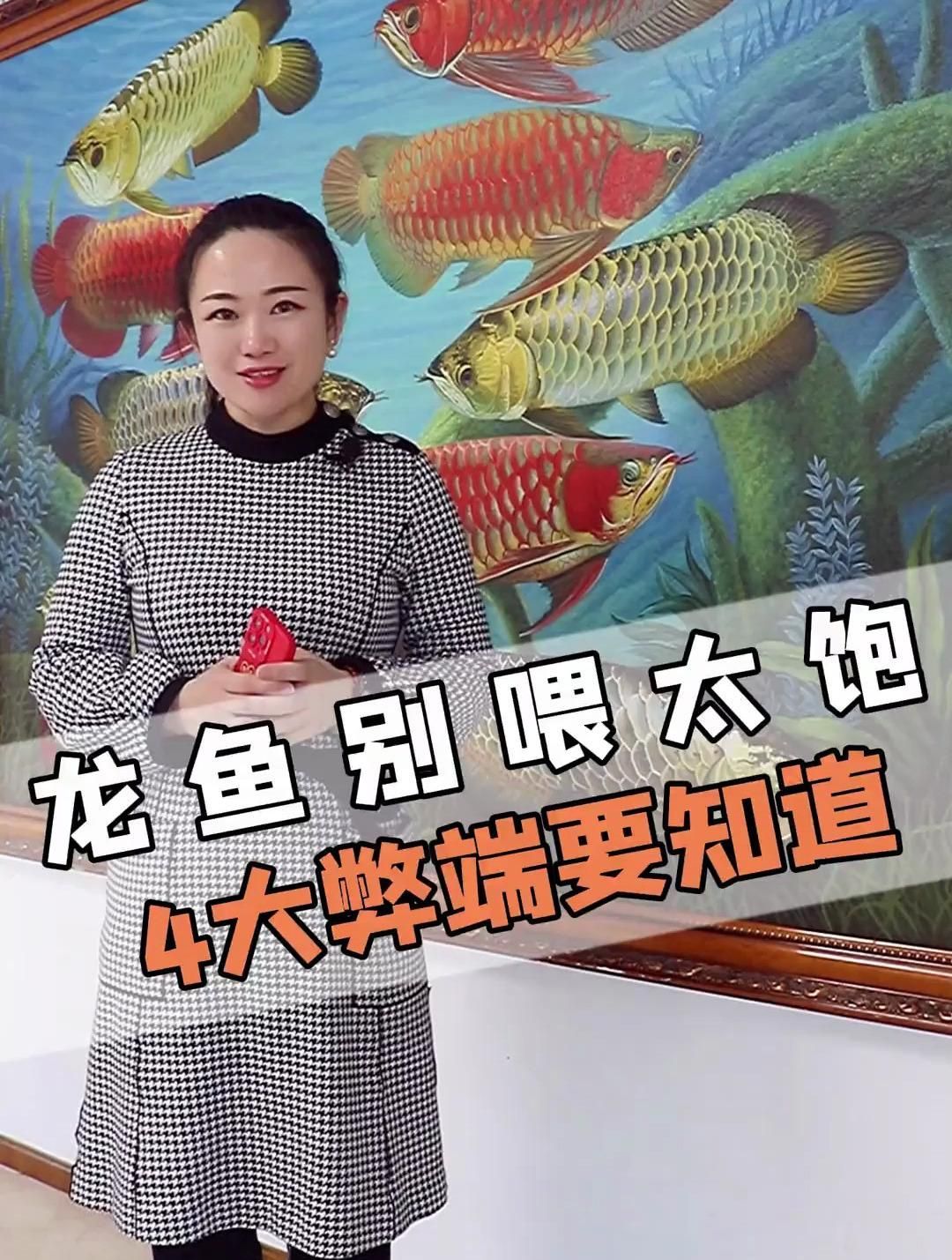 龍魚吃多了會怎樣？，新手養龍魚千萬別喂太飽4大弊端得知道龍魚吃多了會怎樣