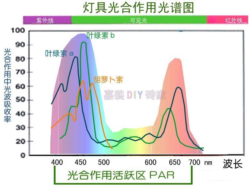如何判斷龍魚(yú)燈是否需要更換？，如何判斷龍魚(yú)燈是否需要更換