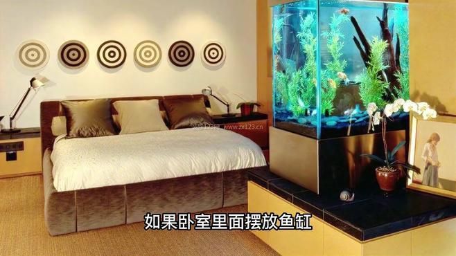 玄關處擺放魚缸有哪些講究？，玄關處擺放魚缸有哪些講究，