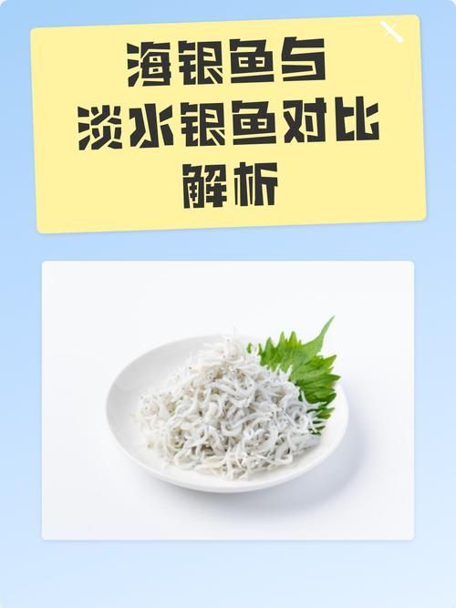 如何辨別玫瑰銀版魚的真偽？，如何辨別玫瑰銀版魚的真偽