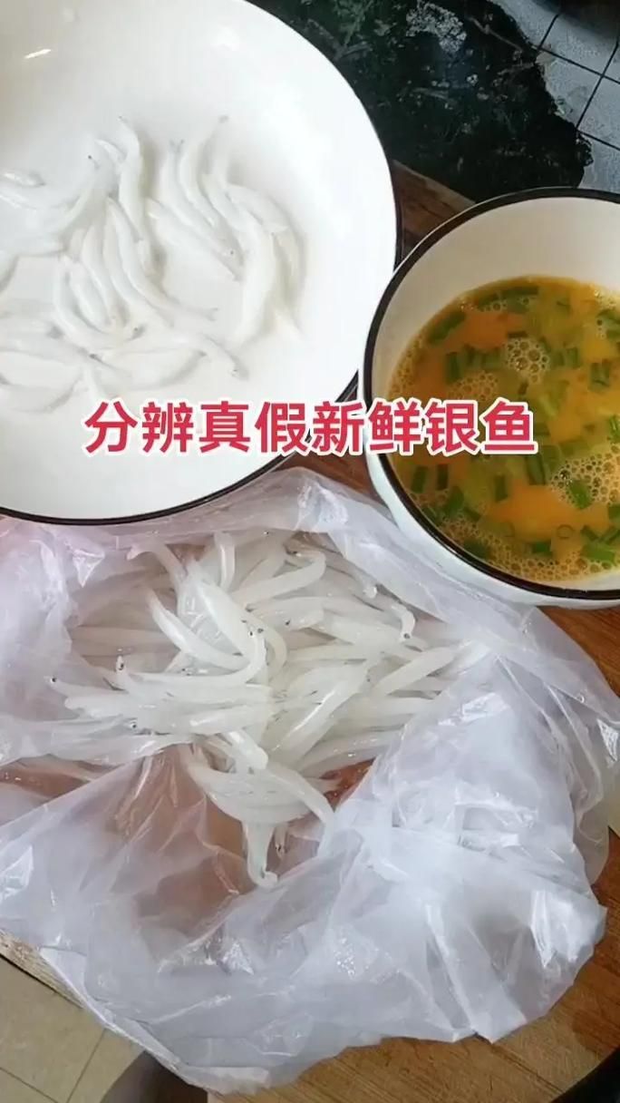 如何辨別玫瑰銀版魚的真偽？，如何辨別玫瑰銀版魚的真偽