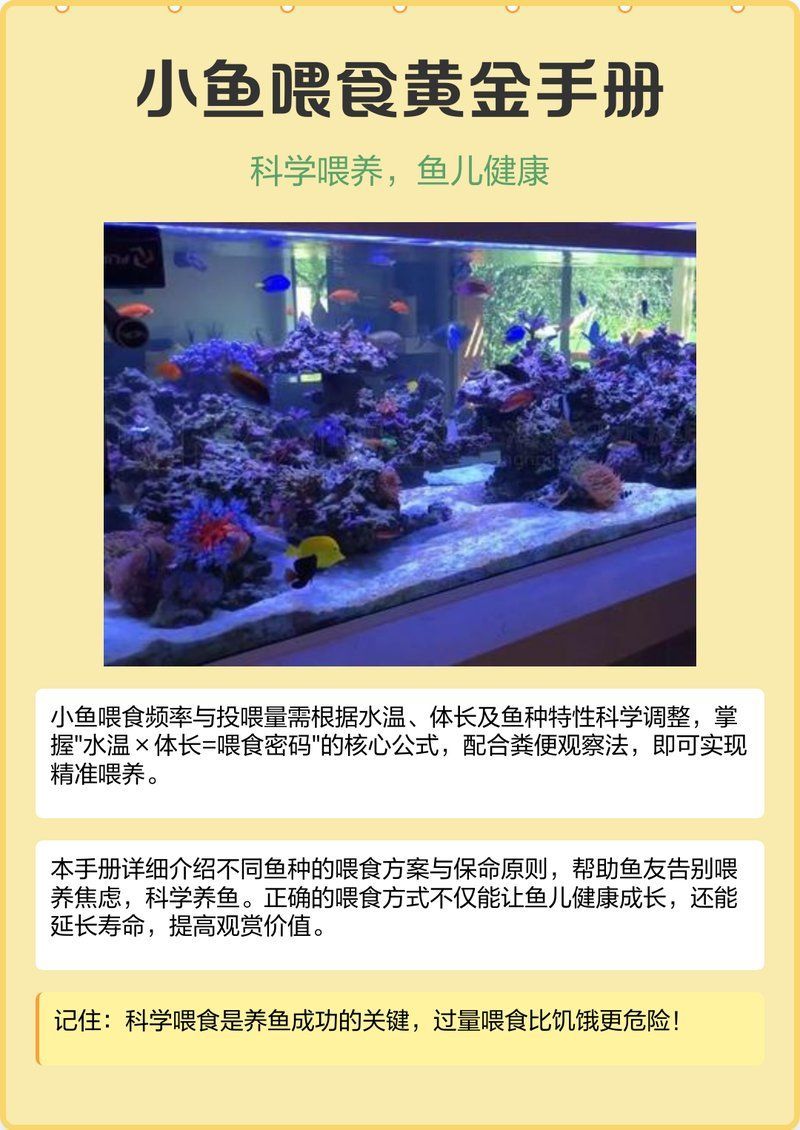 魚(yú)糧的投喂技巧有哪些？