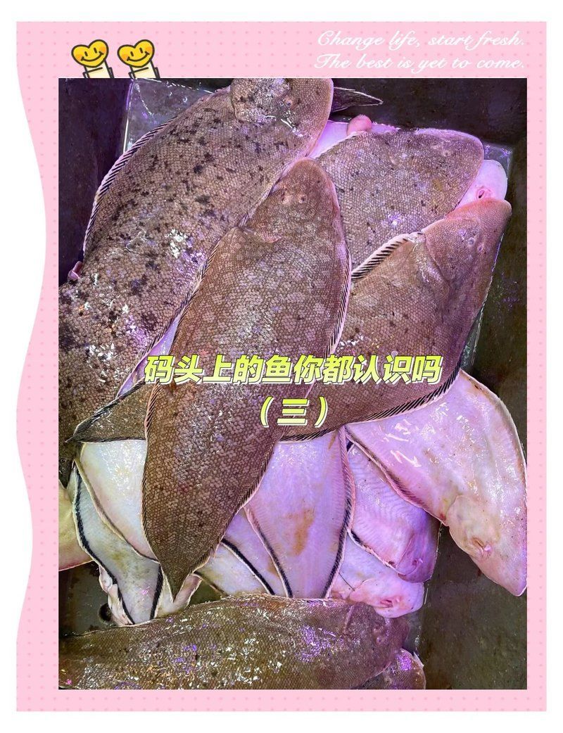 深海龍利魚是什么魚，深海龍利魚是一種生活在我國近海海域的優質海魚