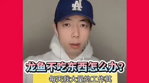 龍魚拒食時應該如何調整飼養習慣？，龍魚拒食如何調整飼養習慣？