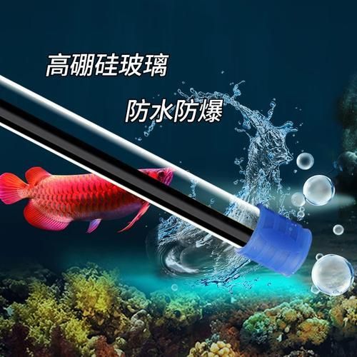 如何判斷龍魚小夜燈是否需要更換