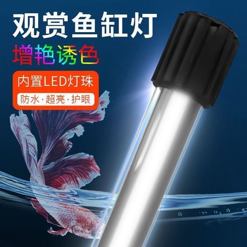 如何判斷龍魚小夜燈是否需要更換