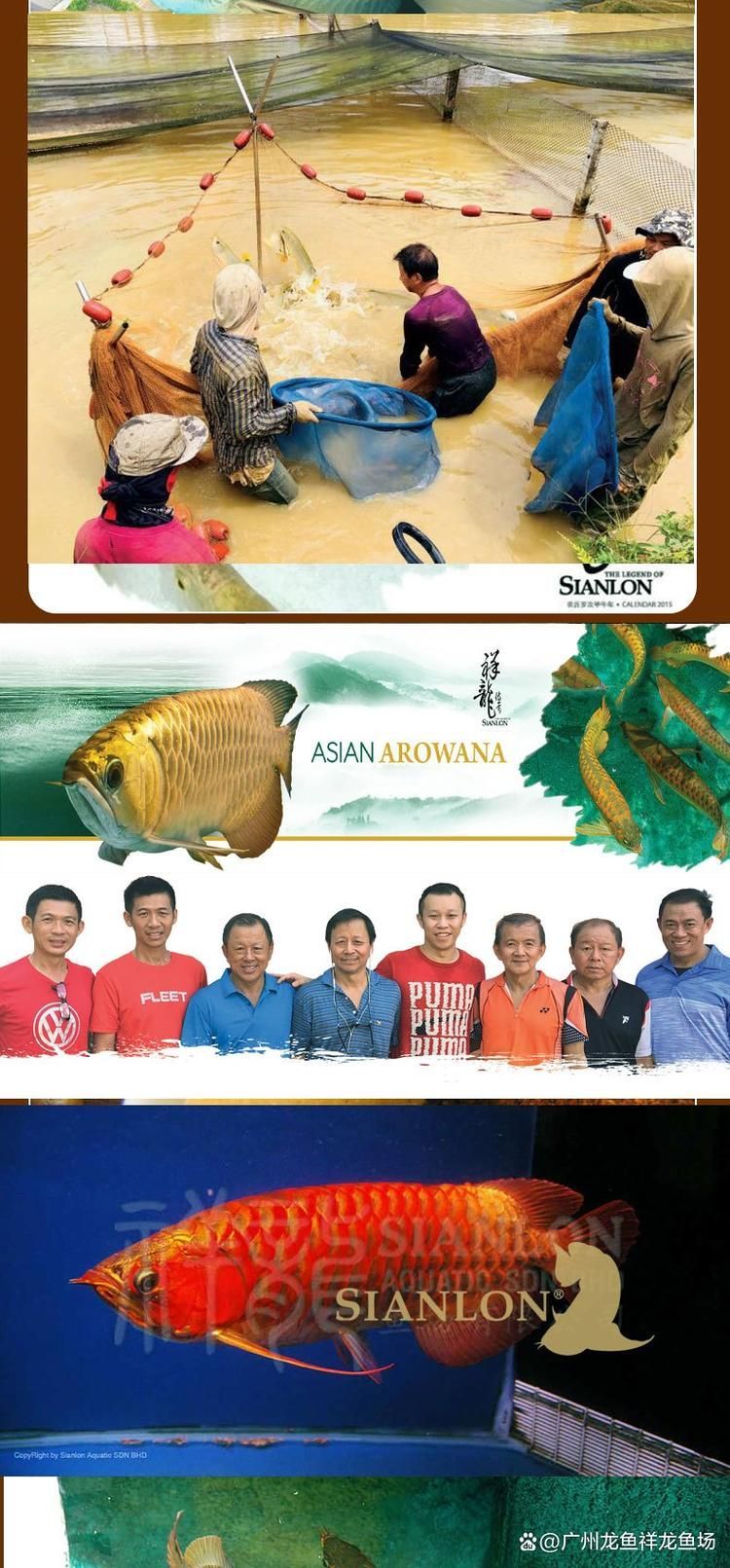 如何確認(rèn)祥龍魚場的具體信息？，如何確認(rèn)“祥龍魚場”的具體信息（1000字和配圖）