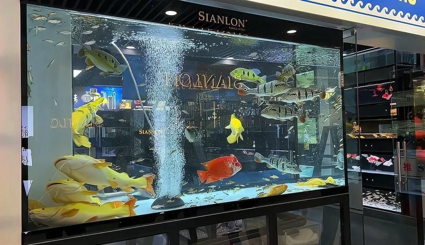 如何確認(rèn)祥龍魚場的具體信息？，如何確認(rèn)“祥龍魚場”的具體信息（1000字和配圖）