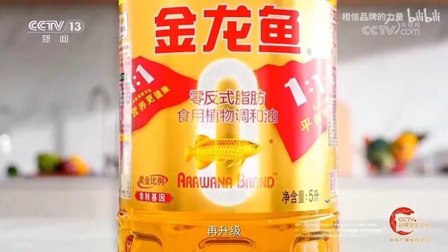 金龍魚1-1-1廣告有哪些版本？，金龍魚1-1-1-1-1-1-1廣告