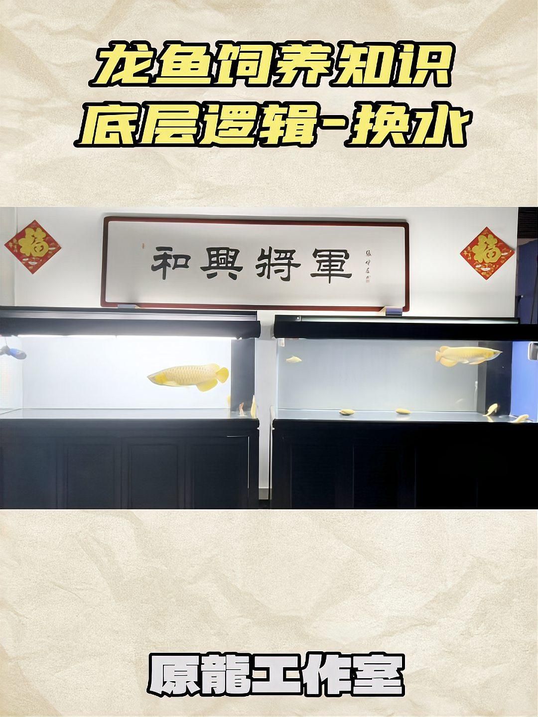 龍魚嘴白白需要換幾次水？