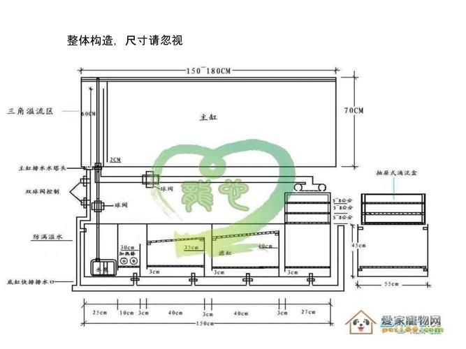 能否提供一張更詳細的魚缸圖片，能否提供一張更詳細的魚缸圖片？