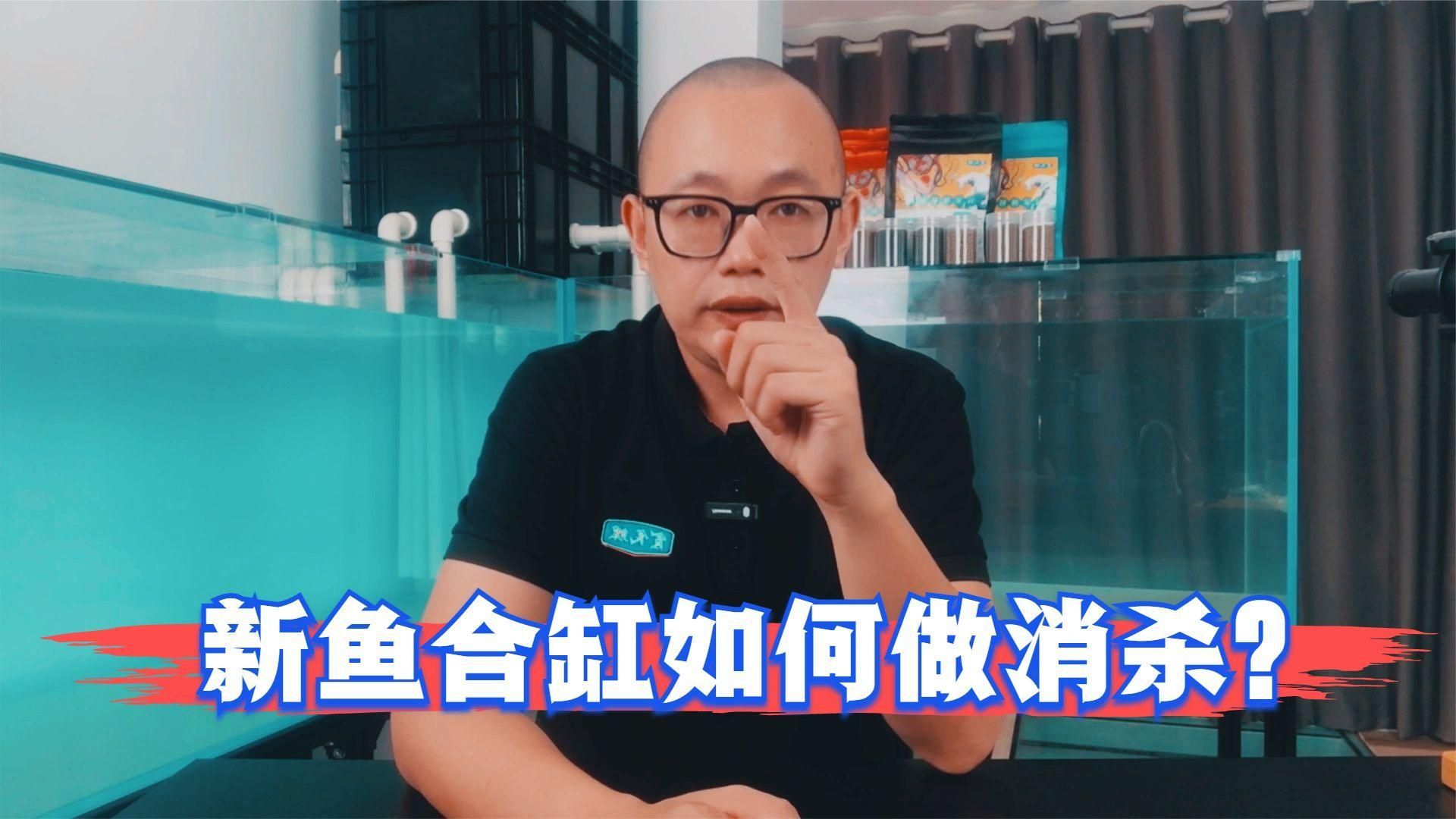如何預防合缸交叉感染，如何有效預防觀賞魚合缸交叉感染