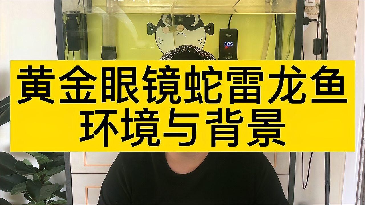 眼睛蛇雷龍魚的最佳飼養(yǎng)溫度是多少？，黃金眼鏡蛇雷龍的最佳飼養(yǎng)溫度是多少？