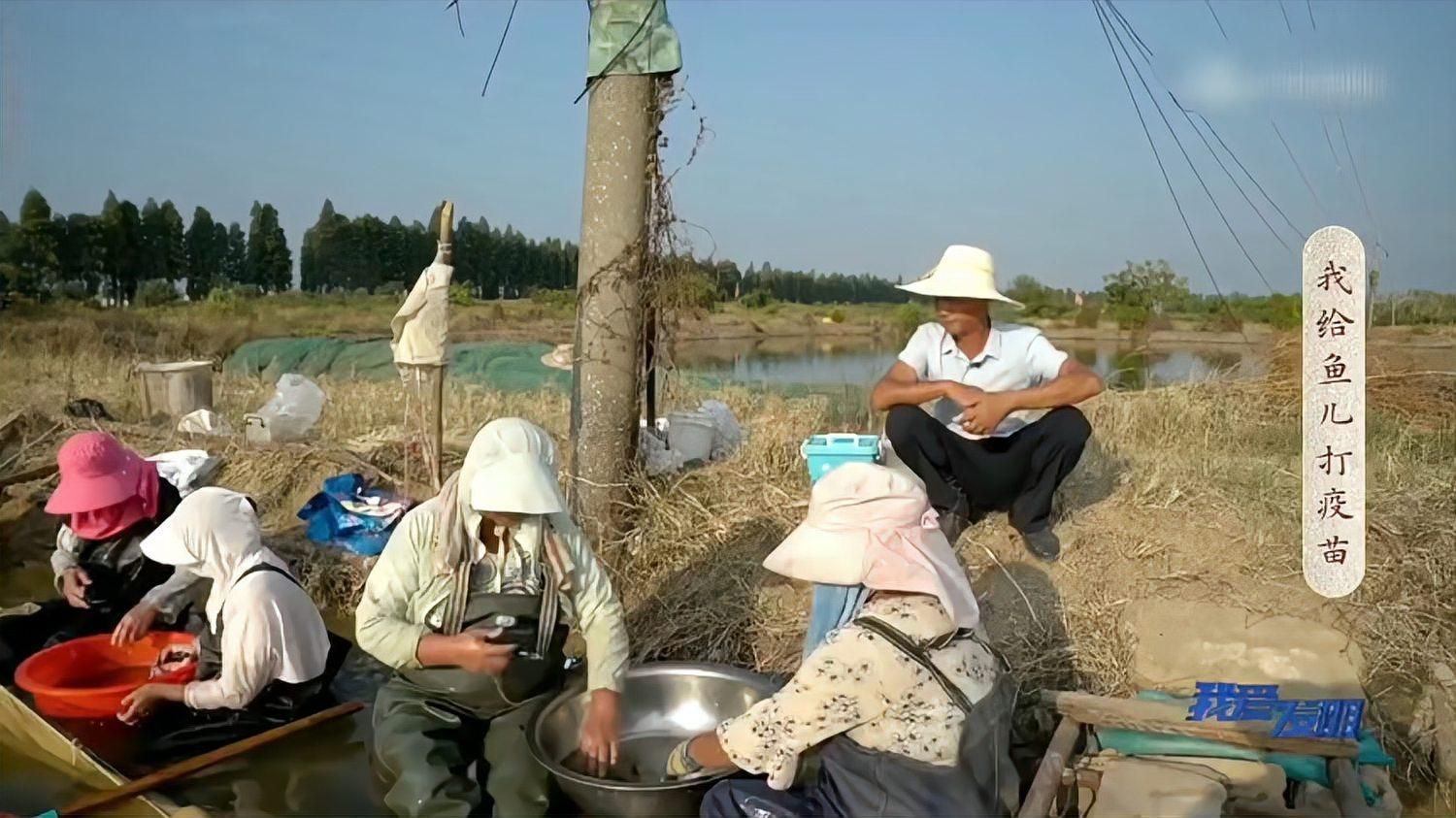 如何預防魚體充血的發生