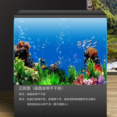 有哪些品牌龍魚缸壁紙推薦，龍魚缸壁紙品牌對比表格海洋之心海洋之心海洋之心