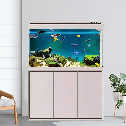 龍魚五大品牌魚缸有哪些型號，龍魚五大品牌魚缸品牌及其代表性型號詳解龍魚五大品牌及典型號
