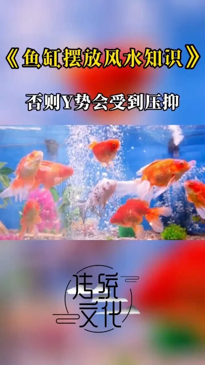 魚缸擺放位置的風水案例，魚缸擺放位置的風水技巧