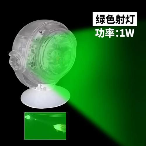 龍魚夜燈使用黃光還是白光？