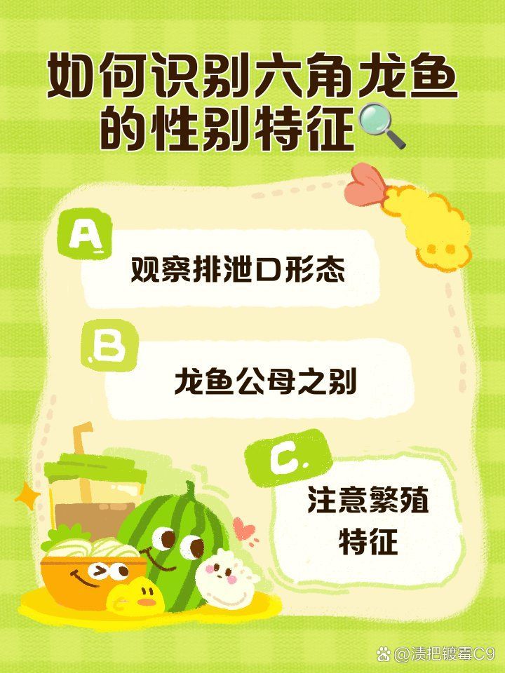 如何判斷六角龍魚是否成熟