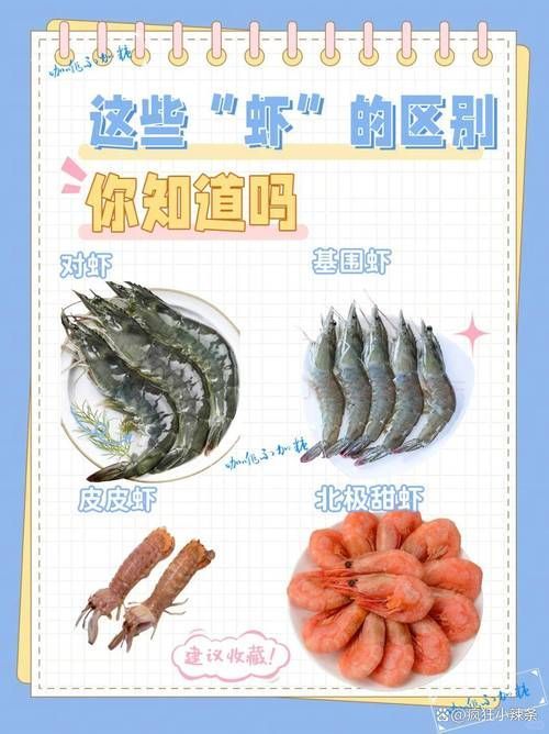 基圍蝦和河蝦哪個更便宜，基圍蝦和河蝦哪個更便宜，