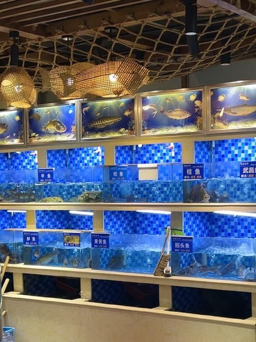 仟湖和祥龍魚場哪個更好？，仟湖魚場vs祥龍魚場