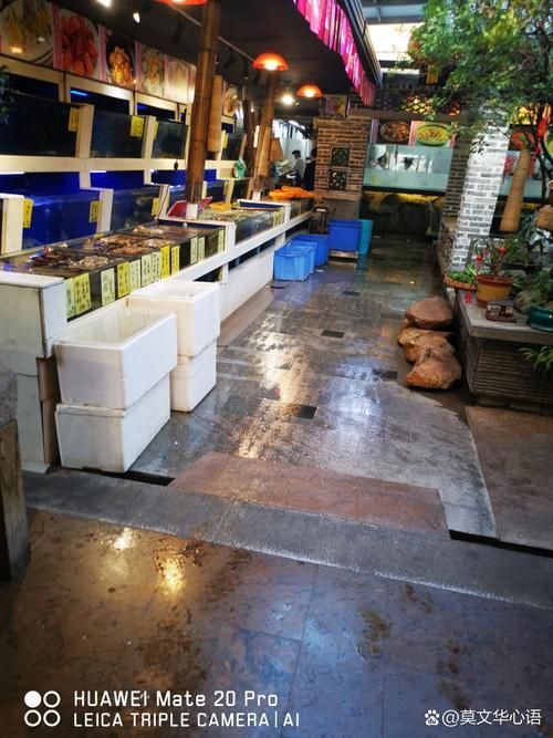 仟湖和祥龍魚場哪個更好？，仟湖魚場vs祥龍魚場