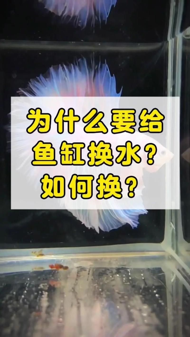如何預防龍魚細菌感染疾病？，mcp工具arxiv論文助手預防龍魚細菌感染預防措施