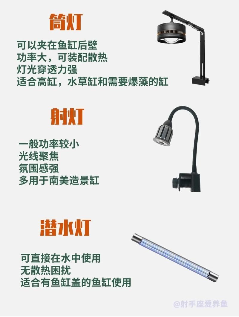 如何安裝和調(diào)整龍魚專用燈？