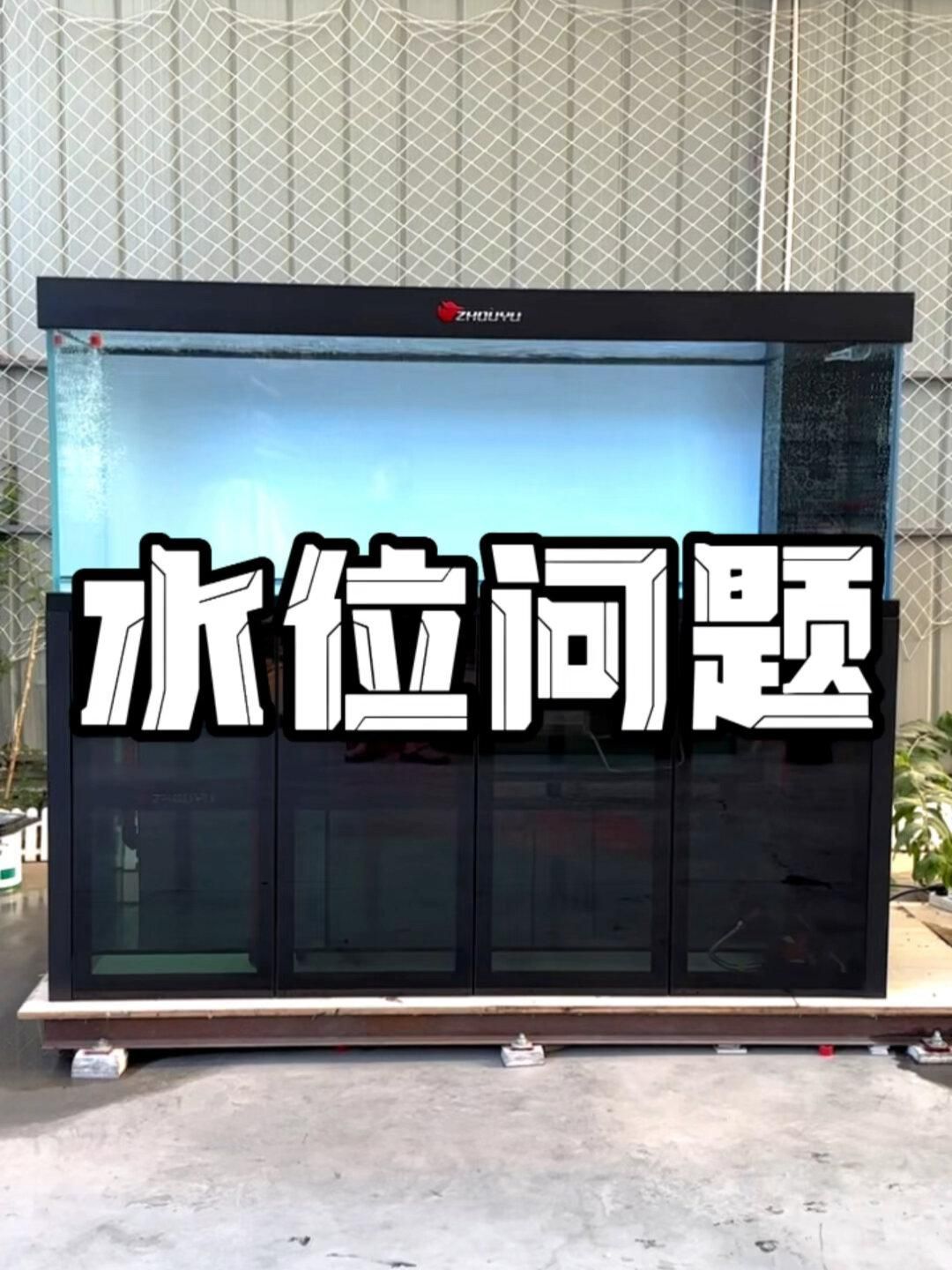 龍魚缸的長度和高度有何講究？，福臨門亞麻籽油適合哪些人群，