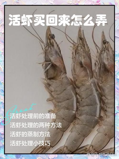 如何處理和消毒紅龍的食物，如何處理和消毒紅龍的食物思考完成