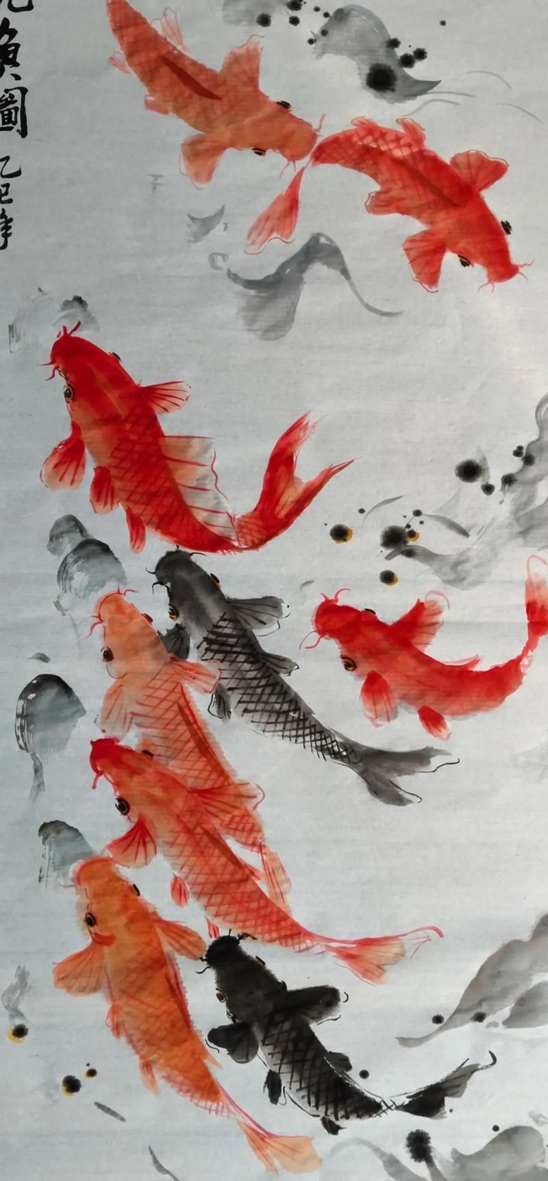 年魚高清大圖有哪些來源，年魚高清大圖有哪些來源，