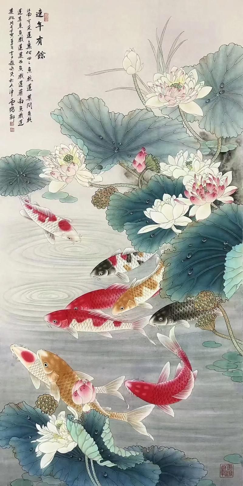 年魚高清大圖有哪些來源，年魚高清大圖有哪些來源，