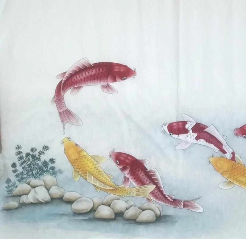 年魚高清大圖有哪些來源，年魚高清大圖有哪些來源，