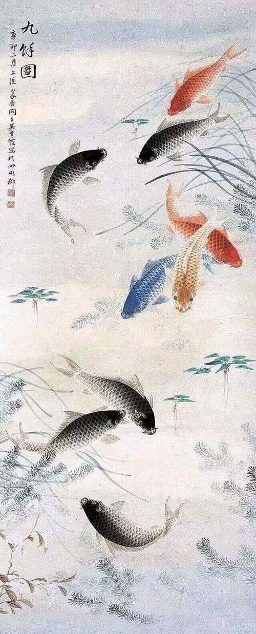 年魚高清大圖有哪些來源，年魚高清大圖有哪些來源，