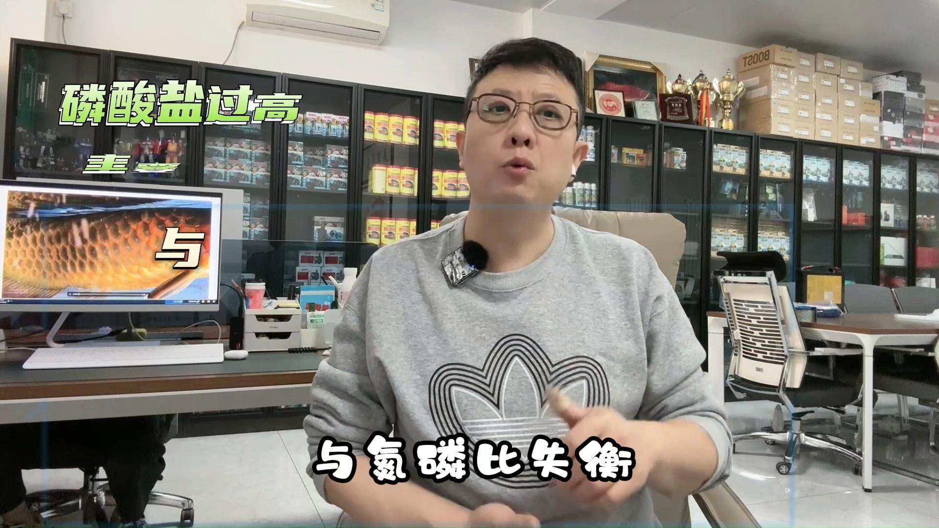 龍魚魚鱗爛能自愈嗎