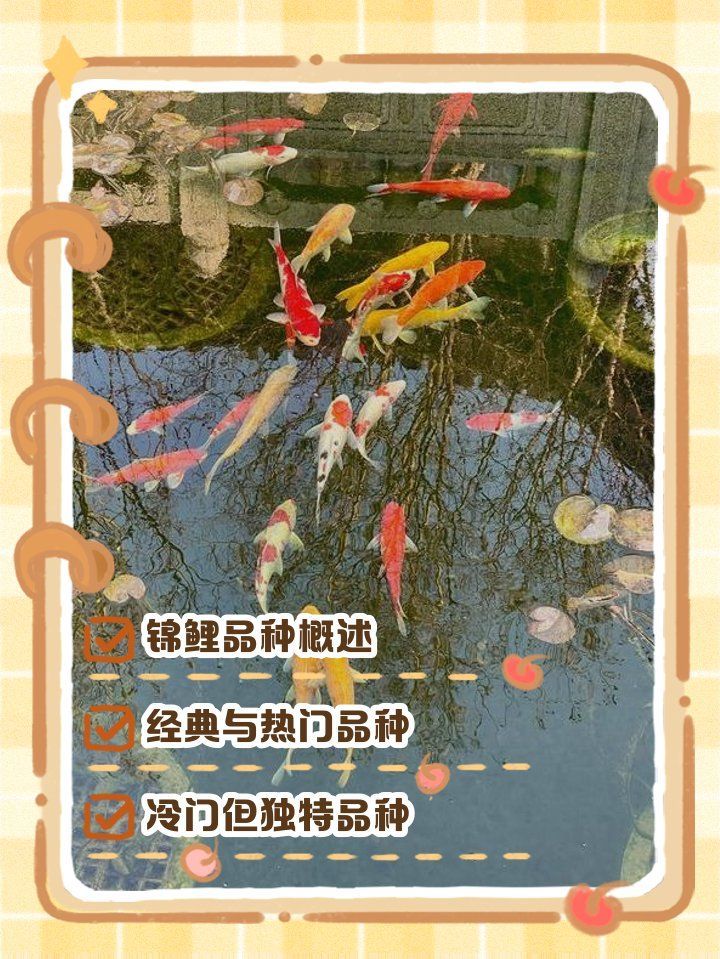 錦鯉魚有哪些常見品種，錦鯉魚、大正三色錦鯉魚有哪些常見顏色的品種盤點
