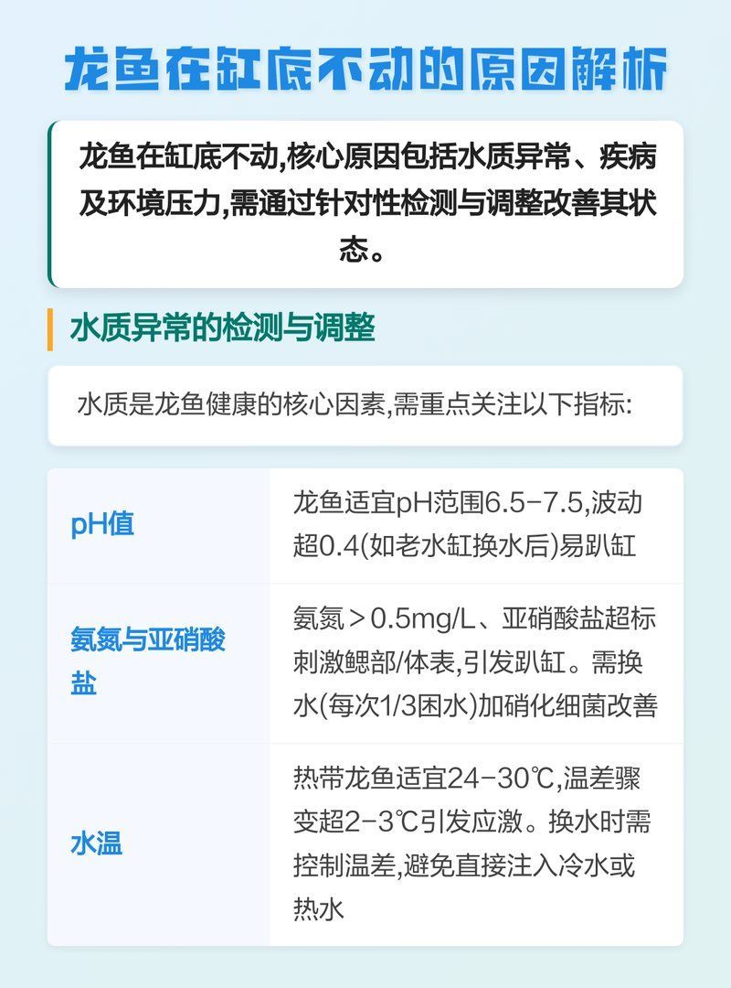 龍魚趴在缸底多久會恢復，探討龍魚趴在缸底多久會恢復，如何判斷龍魚是否健康