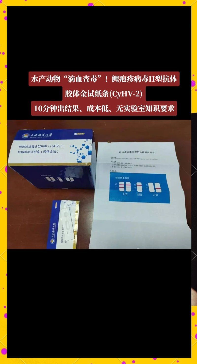如何判斷魚缸中是否有細菌或病毒，酷颯玩家必看防疫指南嗶哩大法|魚友必看