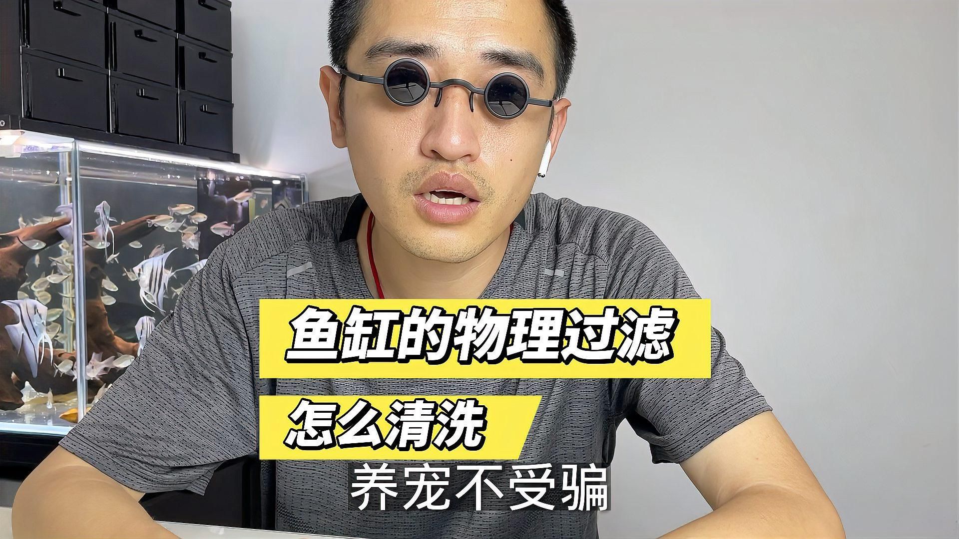 如何預防魚爛尾的發生，如何科學預防觀賞魚爛尾病