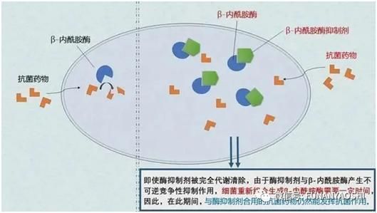 哪些藥物組合使用效果更好